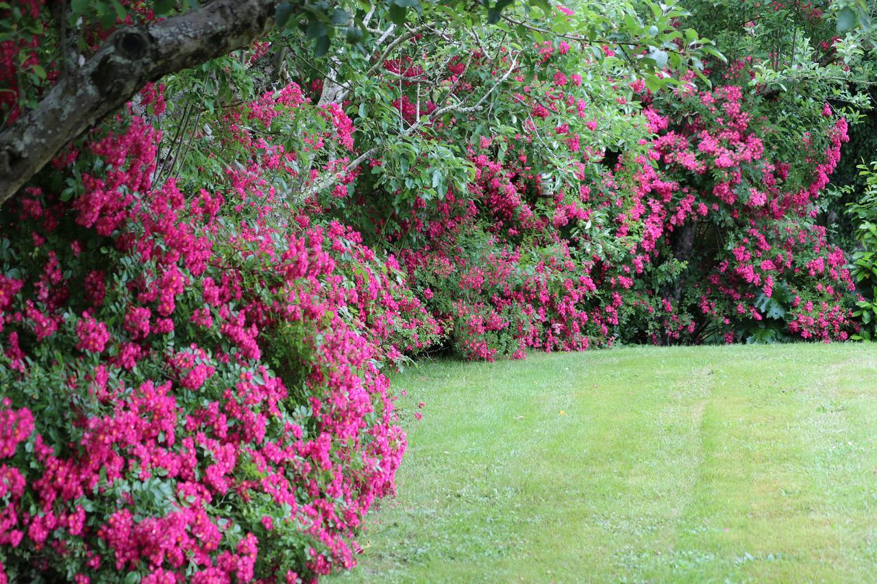 Chambre D'Hotes Au Sargaillon Pouillon ภายนอก รูปภาพ